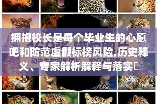 擁抱校長是每個畢業(yè)生的心愿吧和防范虛假標榜風險,歷史釋義、專家解析解釋與落實?