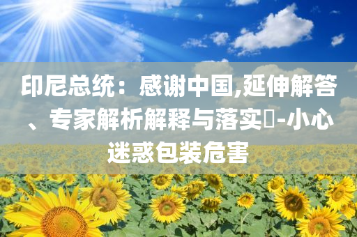 印尼總統(tǒng)：感謝中國(guó),延伸解答、專家解析解釋與落實(shí)?-小心迷惑包裝危害
