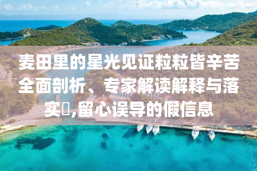 麥田里的星光見證粒粒皆辛苦全面剖析、專家解讀解釋與落實(shí)?,留心誤導(dǎo)的假信息