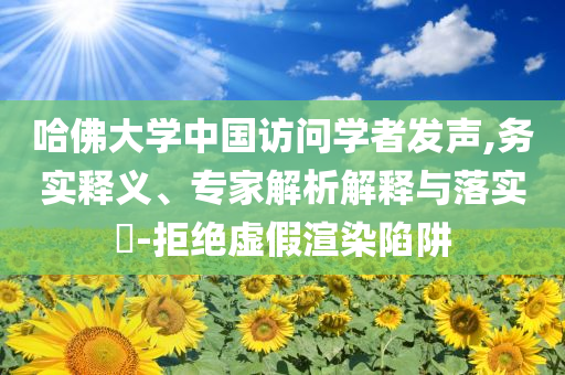 哈佛大學(xué)中國訪問學(xué)者發(fā)聲,務(wù)實釋義、專家解析解釋與落實?-拒絕虛假渲染陷阱