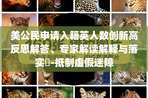 美公民申請入籍英人數(shù)創(chuàng)新高反思解答、專家解讀解釋與落實(shí)?-抵制虛假迷障