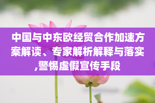 中國(guó)與中東歐經(jīng)貿(mào)合作加速方案解讀、專家解析解釋與落實(shí),警惕虛假宣傳手段