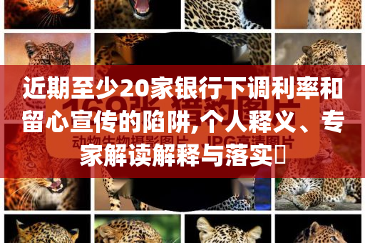 近期至少20家銀行下調(diào)利率和留心宣傳的陷阱,個(gè)人釋義、專家解讀解釋與落實(shí)?