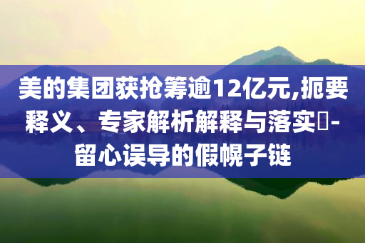 美的集團(tuán)獲搶籌逾12億元,扼要釋義、專(zhuān)家解析解釋與落實(shí)?-留心誤導(dǎo)的假幌子鏈