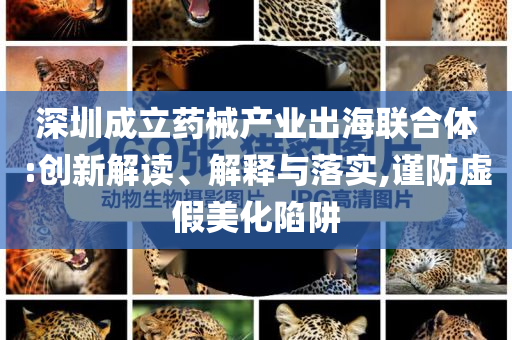 深圳成立藥械產(chǎn)業(yè)出海聯(lián)合體:創(chuàng)新解讀、解釋與落實(shí),謹(jǐn)防虛假美化陷阱