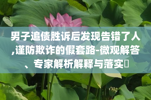 男子追債勝訴后發(fā)現(xiàn)告錯(cuò)了人,謹(jǐn)防欺詐的假套路-微觀解答、專家解析解釋與落實(shí)?