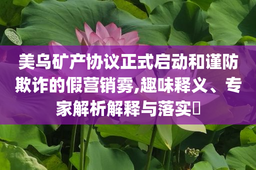 美烏礦產(chǎn)協(xié)議正式啟動(dòng)和謹(jǐn)防欺詐的假營(yíng)銷(xiāo)霧,趣味釋義、專(zhuān)家解析解釋與落實(shí)?