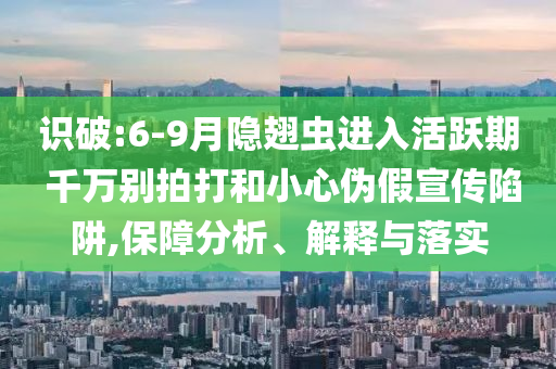 識(shí)破:6-9月隱翅蟲進(jìn)入活躍期 千萬別拍打和小心偽假宣傳陷阱,保障分析、解釋與落實(shí)