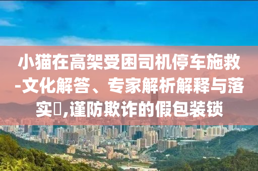 小貓在高架受困司機停車施救-文化解答、專家解析解釋與落實?,謹防欺詐的假包裝鎖
