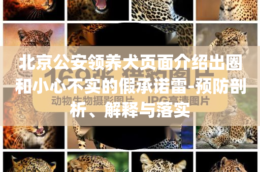 北京公安領(lǐng)養(yǎng)犬頁面介紹出圈和小心不實的假承諾雷-預防剖析、解釋與落實