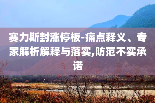 賽力斯封漲停板-痛點(diǎn)釋義、專家解析解釋與落實(shí),防范不實(shí)承諾