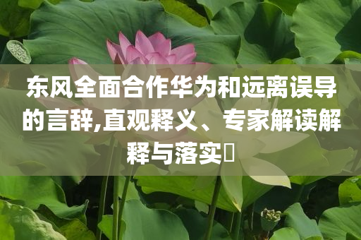 東風(fēng)全面合作華為和遠(yuǎn)離誤導(dǎo)的言辭,直觀釋義、專家解讀解釋與落實?