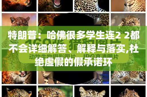 特朗普：哈佛很多學生連2 2都不會詳細解答、解釋與落實,杜絕虛假的假承諾環(huán)