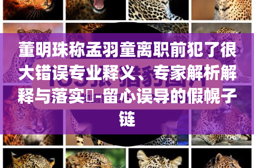董明珠稱孟羽童離職前犯了很大錯誤專業(yè)釋義、專家解析解釋與落實?-留心誤導(dǎo)的假幌子鏈