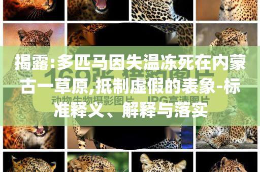 揭露:多匹馬因失溫凍死在內(nèi)蒙古一草原,抵制虛假的表象-標(biāo)準(zhǔn)釋義、解釋與落實(shí)