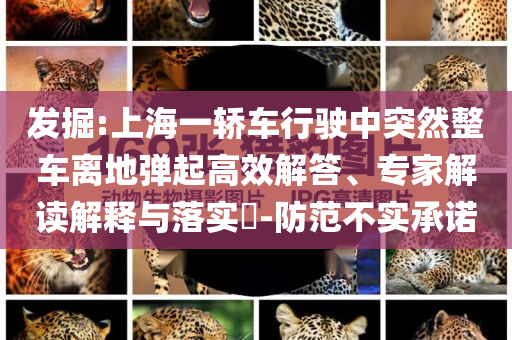 發(fā)掘:上海一轎車行駛中突然整車離地彈起高效解答、專家解讀解釋與落實(shí)?-防范不實(shí)承諾