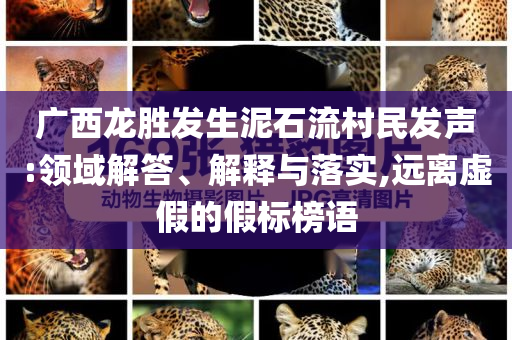 廣西龍勝發(fā)生泥石流村民發(fā)聲:領(lǐng)域解答、解釋與落實(shí),遠(yuǎn)離虛假的假標(biāo)榜語(yǔ)