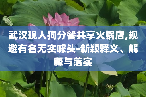 武漢現(xiàn)人狗分餐共享火鍋店,規(guī)避有名無(wú)實(shí)噱頭-新穎釋義、解釋與落實(shí)