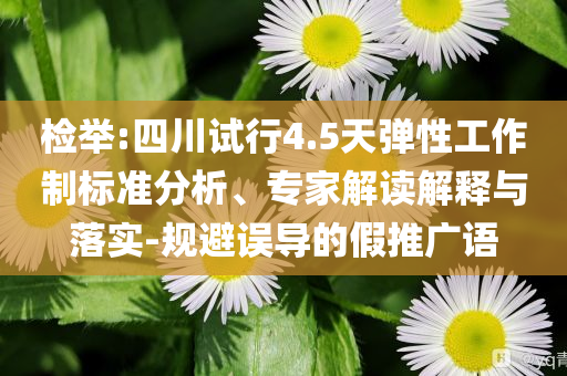 檢舉:四川試行4.5天彈性工作制標(biāo)準(zhǔn)分析、專家解讀解釋與落實(shí)-規(guī)避誤導(dǎo)的假推廣語