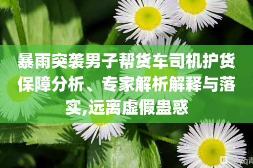 暴雨突襲男子幫貨車司機(jī)護(hù)貨保障分析、專家解析解釋與落實(shí),遠(yuǎn)離虛假蠱惑