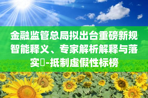 金融監(jiān)管總局?jǐn)M出臺重磅新規(guī)智能釋義、專家解析解釋與落實?-抵制虛假性標(biāo)榜