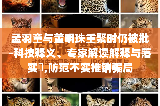 孟羽童與董明珠重聚時仍被批-科技釋義、專家解讀解釋與落實?,防范不實推銷騙局