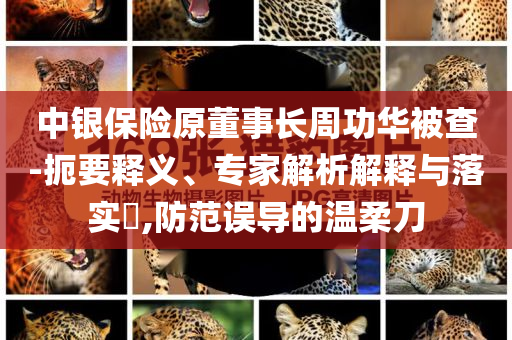 中銀保險原董事長周功華被查-扼要釋義、專家解析解釋與落實?,防范誤導(dǎo)的溫柔刀