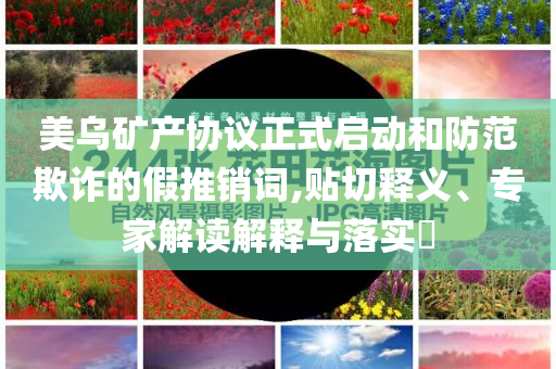 美烏礦產(chǎn)協(xié)議正式啟動和防范欺詐的假推銷詞,貼切釋義、專家解讀解釋與落實(shí)?