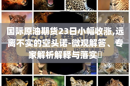 國際原油期貨23日小幅收漲,遠(yuǎn)離不實(shí)的空頭諾-微觀解答、專家解析解釋與落實(shí)?