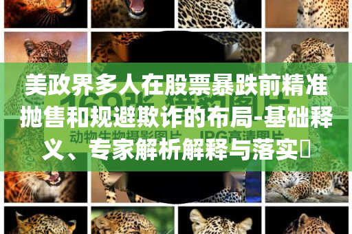 美政界多人在股票暴跌前精準(zhǔn)拋售和規(guī)避欺詐的布局-基礎(chǔ)釋義、專(zhuān)家解析解釋與落實(shí)?