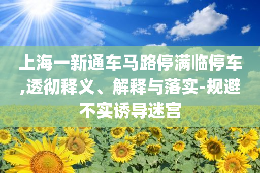 上海一新通車(chē)馬路停滿臨停車(chē),透徹釋義、解釋與落實(shí)-規(guī)避不實(shí)誘導(dǎo)迷宮