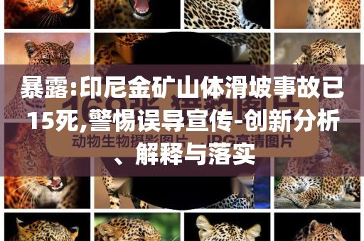 暴露:印尼金礦山體滑坡事故已15死,警惕誤導(dǎo)宣傳-創(chuàng)新分析、解釋與落實(shí)