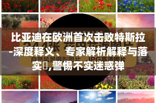 比亞迪在歐洲首次擊敗特斯拉-深度釋義、專家解析解釋與落實?,警惕不實迷惑彈