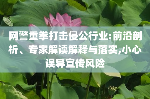 網(wǎng)警重拳打擊侵公行業(yè):前沿剖析、專(zhuān)家解讀解釋與落實(shí),小心誤導(dǎo)宣傳風(fēng)險(xiǎn)