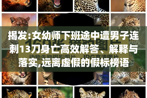 揭發(fā):女幼師下班途中遭男子連刺13刀身亡高效解答、解釋與落實(shí),遠(yuǎn)離虛假的假標(biāo)榜語(yǔ)