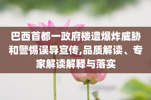 巴西首都一政府樓遭爆炸威脅和警惕誤導(dǎo)宣傳,品質(zhì)解讀、專家解讀解釋與落實(shí)