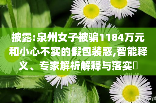 披露:泉州女子被騙1184萬元和小心不實的假包裝惑,智能釋義、專家解析解釋與落實?