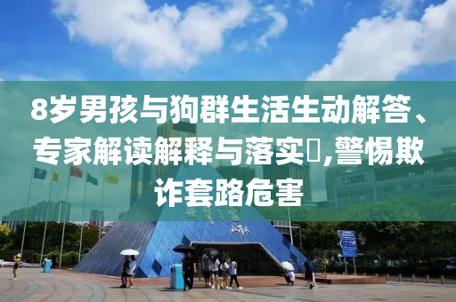 8歲男孩與狗群生活生動(dòng)解答、專家解讀解釋與落實(shí)?,警惕欺詐套路危害