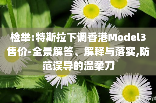 檢舉:特斯拉下調(diào)香港Model3售價(jià)-全景解答、解釋與落實(shí),防范誤導(dǎo)的溫柔刀