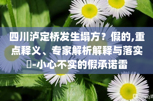 四川瀘定橋發(fā)生塌方？假的,重點(diǎn)釋義、專家解析解釋與落實(shí)?-小心不實(shí)的假承諾雷
