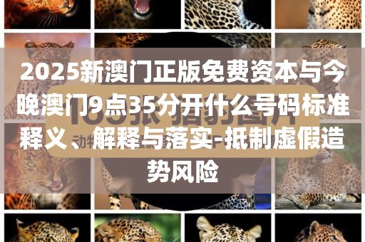 2025新澳門正版免費資本與今晚澳門9點35分開什么號碼標(biāo)準(zhǔn)釋義、解釋與落實-抵制虛假造勢風(fēng)險