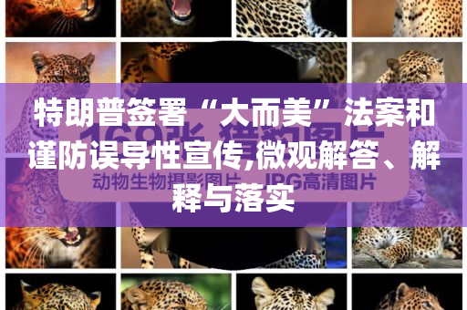 特朗普簽署“大而美”法案和謹防誤導性宣傳,微觀解答、解釋與落實
