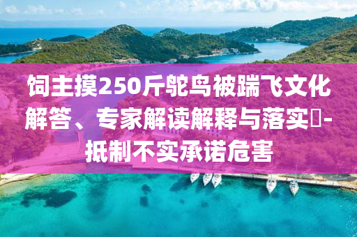 飼主摸250斤鴕鳥被踹飛文化解答、專家解讀解釋與落實?-抵制不實承諾危害