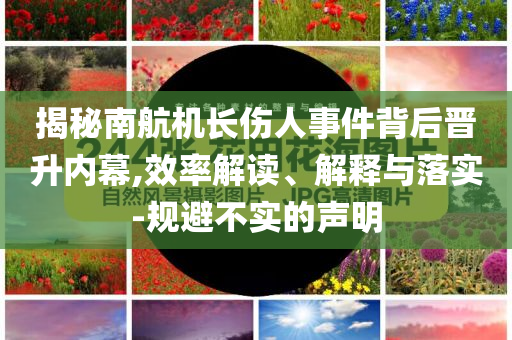 揭秘南航機長傷人事件背后晉升內幕,效率解讀、解釋與落實-規(guī)避不實的聲明