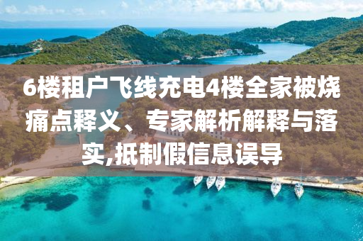 6樓租戶飛線充電4樓全家被燒痛點釋義、專家解析解釋與落實,抵制假信息誤導