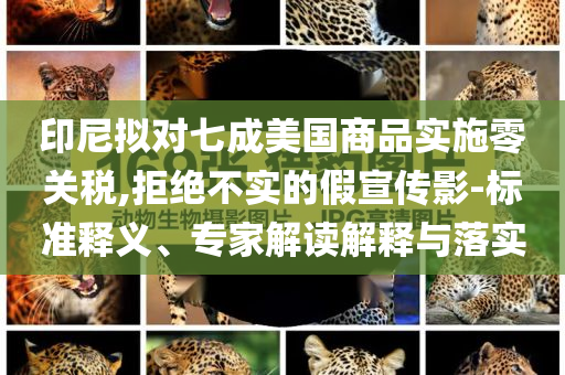 印尼擬對七成美國商品實施零關(guān)稅,拒絕不實的假宣傳影-標(biāo)準(zhǔn)釋義、專家解讀解釋與落實