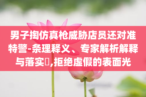 男子掏仿真槍威脅店員還對(duì)準(zhǔn)特警-條理釋義、專家解析解釋與落實(shí)?,拒絕虛假的表面光