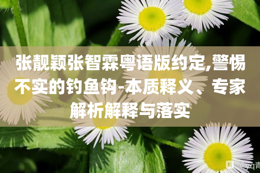 張靚穎張智霖粵語版約定,警惕不實(shí)的釣魚鉤-本質(zhì)釋義、專家解析解釋與落實(shí)