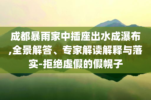 成都暴雨家中插座出水成瀑布,全景解答、專家解讀解釋與落實(shí)-拒絕虛假的假幌子