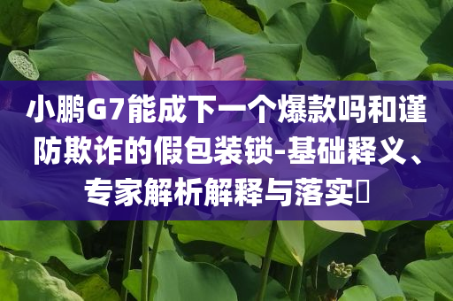 小鵬G7能成下一個爆款嗎和謹防欺詐的假包裝鎖-基礎釋義、專家解析解釋與落實?